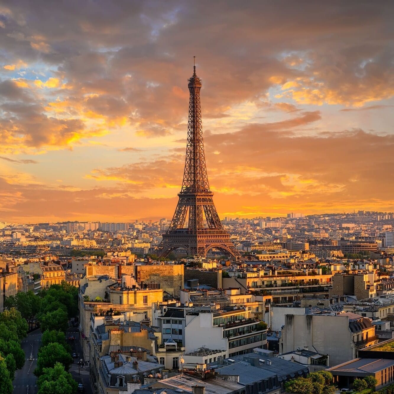 shutterstock 2449868129 e1725605420511